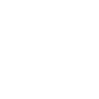 Lanka QR